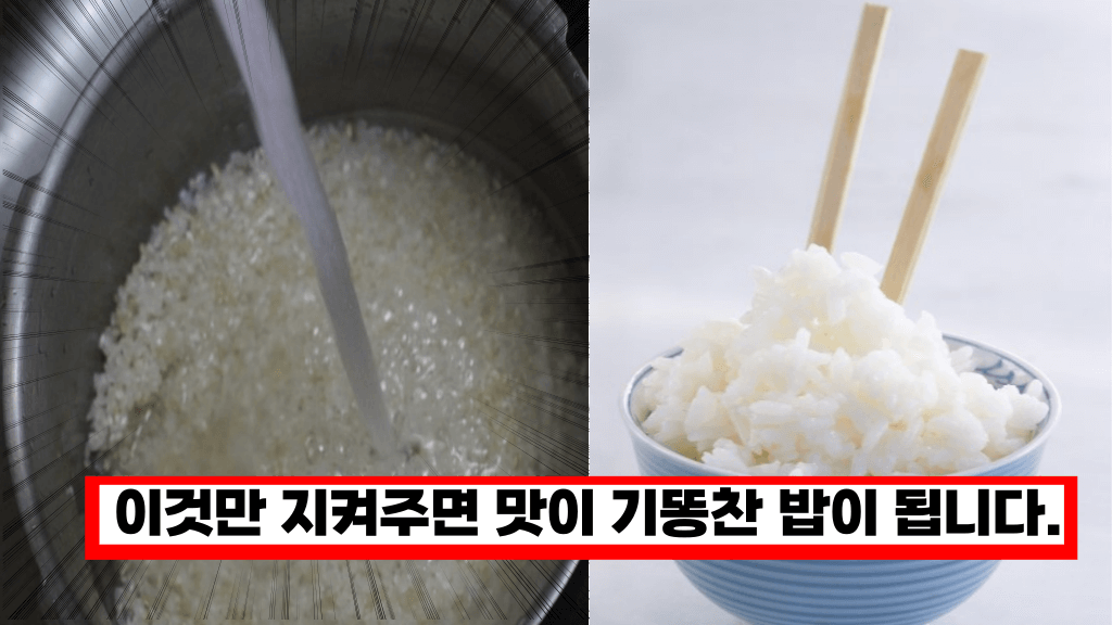 집에서 밥할때 실패없이 밥맛 끝내주고 윤기자 좔좔 흐르는 밥 짓는방법