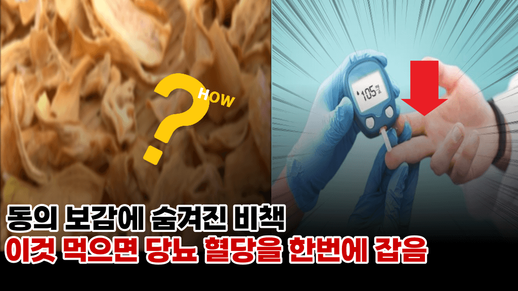 동의 보감에 숨겨진 비책, 이것 매일 먹었더니 기적같이 혈당이 쭉 내려갔어요.