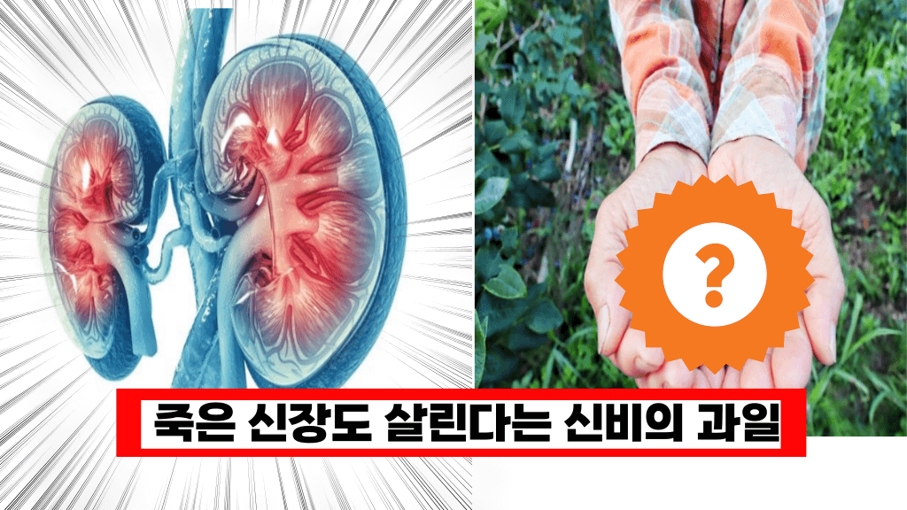 신장이 안좋으시면 이건 꼭 드셔야 합니다. 신장 기능을 되 살려주는 신비의 과일 5가지