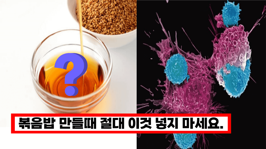 볶음밥 할때 이것 넣으면 독성물질이 퍼집니다’ 맛있게 하려다 최악으로 만드는 조리법