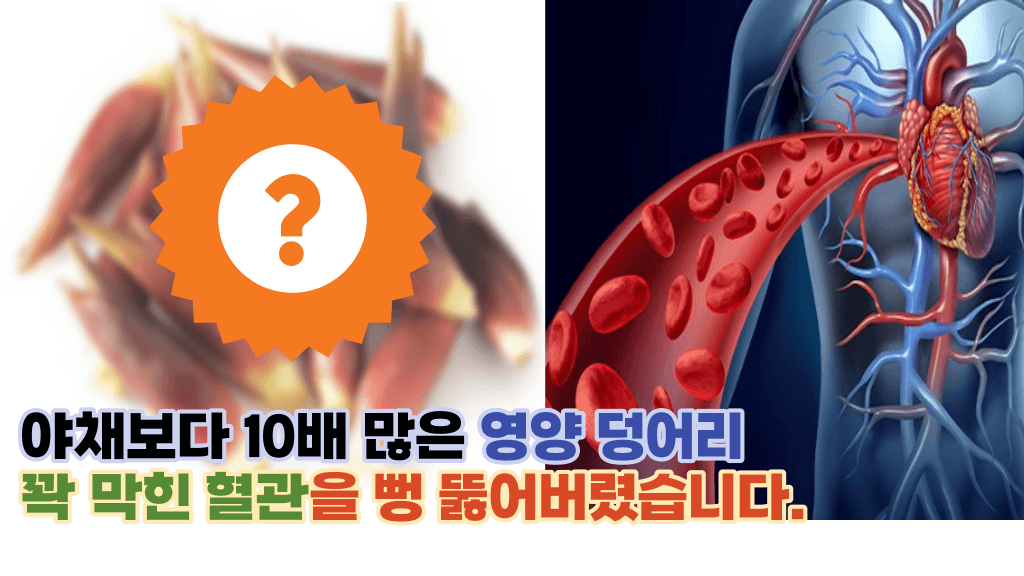 올해 이것 먹고 꼭 막힌 혈관 뚫어 버렸습니다. 향과 맛이 일품인 음식