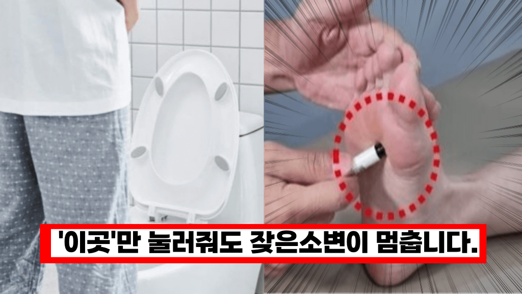 ‘밤에 깨서 화장실을 자꾸가요’ 잦은 소변을 잡는 지압법 총정리