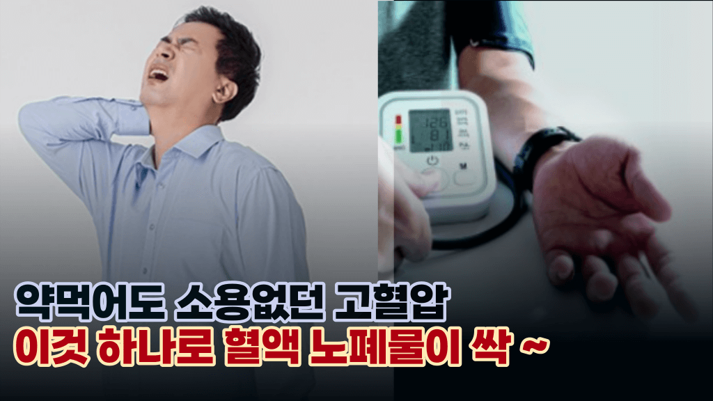 ‘혈관을 새것으로 만들어줘요.’ 혈관내 노폐물을 싹 배출 시켜주는 최고의 식품