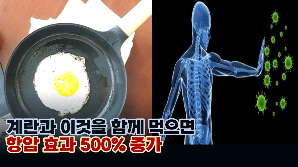 우리가 매일 먹는 계란 ‘이것’과 함께 드시면 암세포를 모두 사멸 시켜 버립니다.