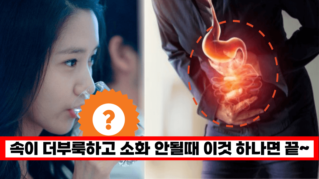 ‘왜 이걸 몰랐지?’ 식후에 ‘이것’ 한잔이면 속쓰림 소화불량에서 바로 해방