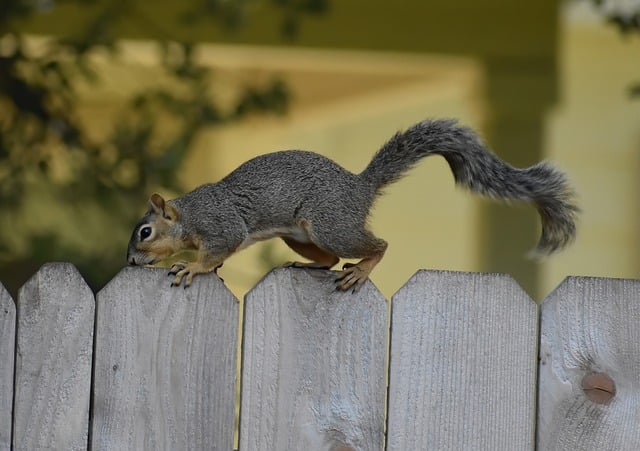 칡냉면 칼로리 건강한 여름 음식