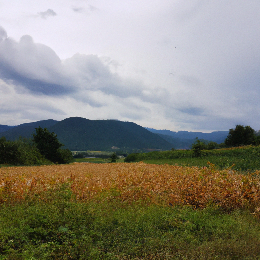 재활용품 세척법, 음식물 없이 깔끔하게 분리수거하는 꿀팁 재활용품 세척법, 음식물 없이 깔끔하게 분리수거하는 꿀팁