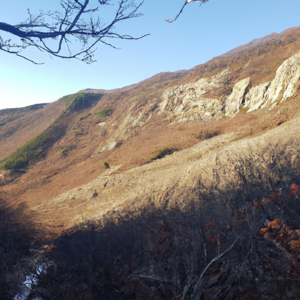 렌즈 보관법, 건조하지 않고 오래 쓰는 청결 관리 방법 렌즈 보관법, 건조하지 않고 오래 쓰는 청결 관리 방법