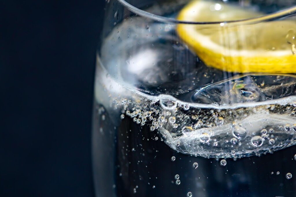 bowl of water with lemon slices inside microwave