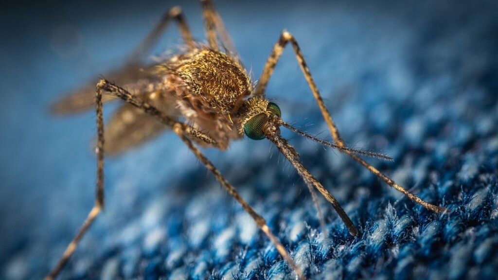 electric mosquito racket spark closeup