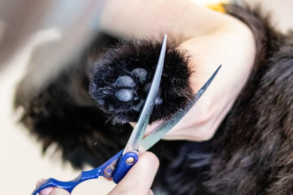 dog paw trimming grooming scissors between toes