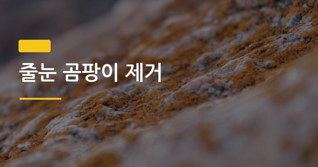 줄눈 곰팡이 제거, 락스 없이도 깨끗하게 지우는 현실적인 방법 4가지