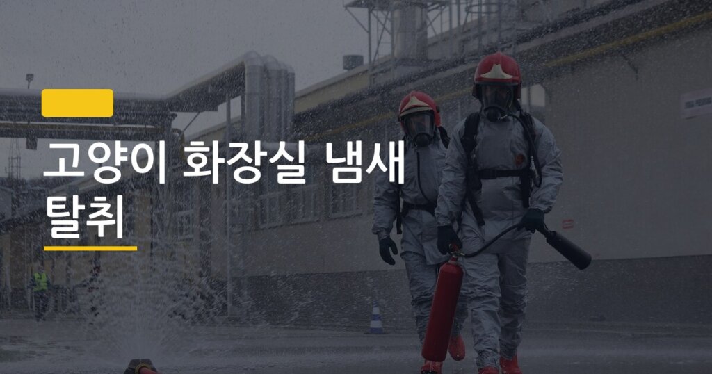 고양이 화장실 냄새 탈취, 집사 5년 차가 직접 써보고 정리한 효과 순위