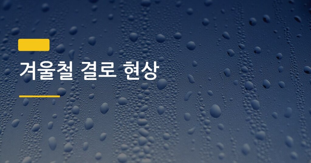 겨울철 결로 현상, 원룸 신혼부부가 하루 10분으로 잡는 환기 루틴 5가지