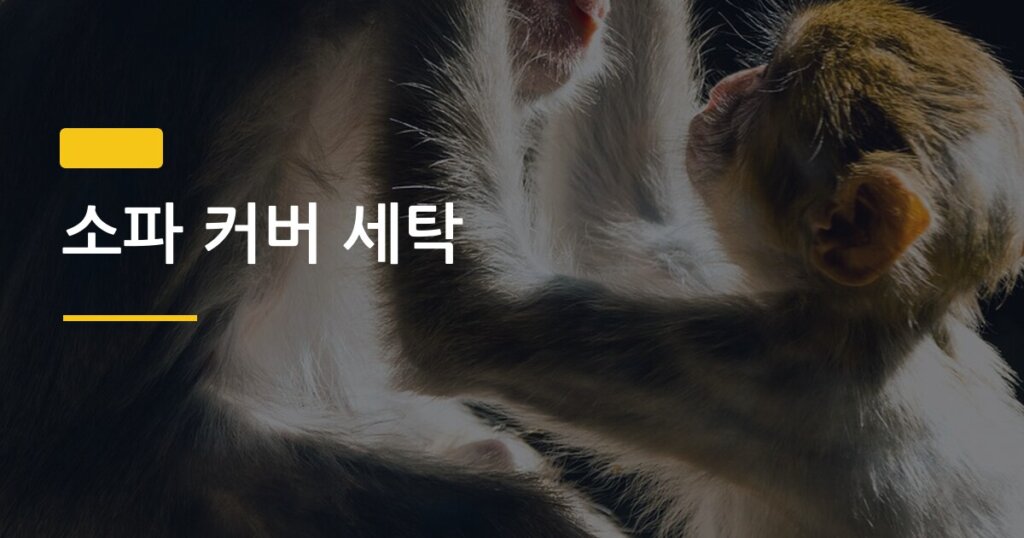 소파 커버 세탁, 집에서 해도 수축 안 되는 진짜 방법 4가지