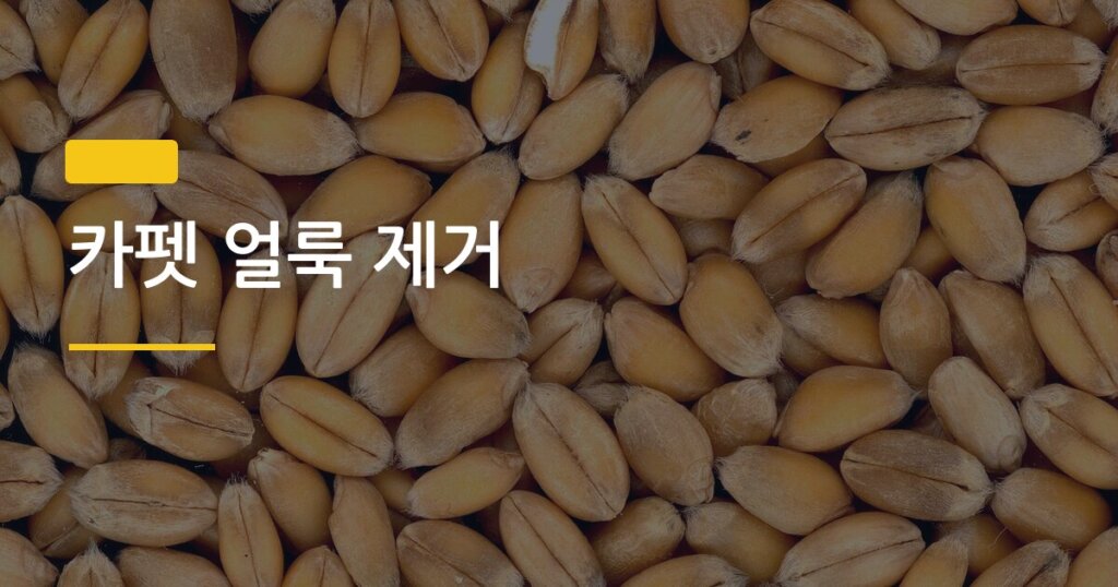 카펫 얼룩 제거, 음식물 쏟은 직후 3분 안에 해야 하는 이유