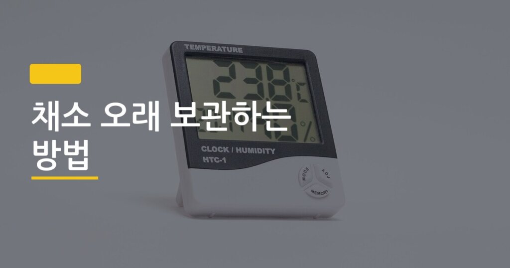 채소 오래 보관하는 방법, 냉장고 야채칸에서 일주일 더 신선하게 유지하는 현실적인 정리