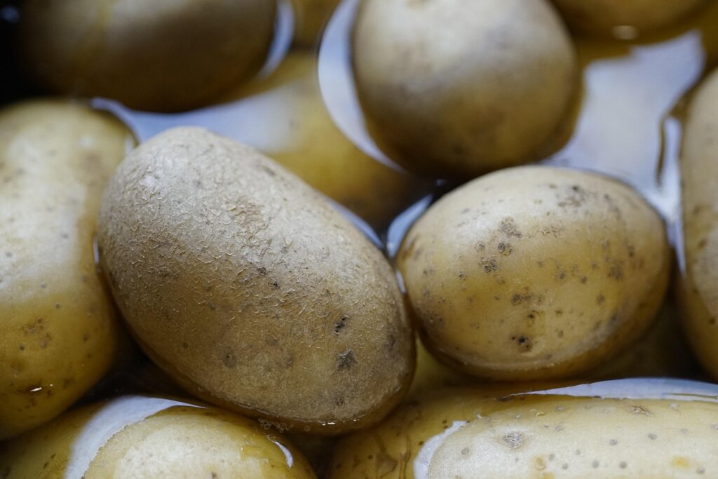 raw potato and tofu on kitchen counter warning sign
