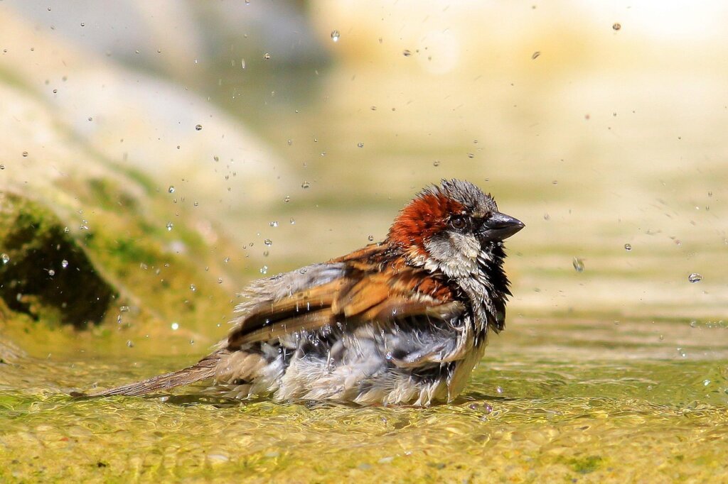 bathroom ventilation fan running after shower