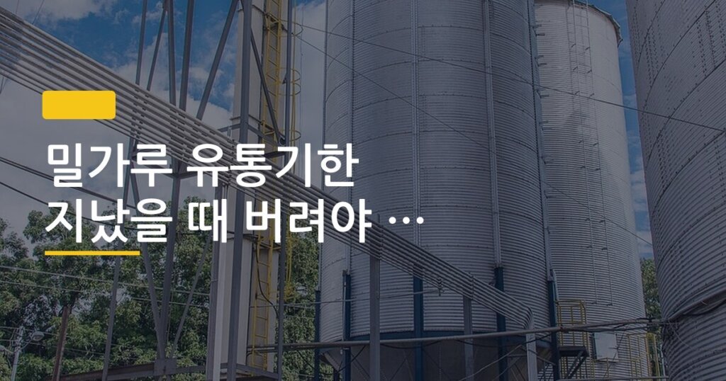 밀가루 유통기한 지났을 때 버려야 하는 기준