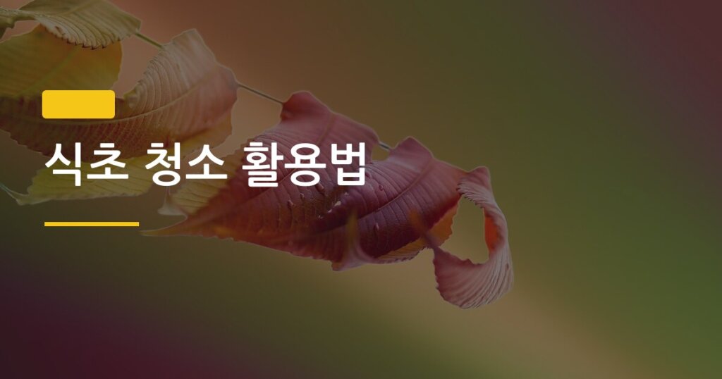 식초 청소 활용법, 절대 쓰면 안 되는 곳 5가지 신혼집 필독