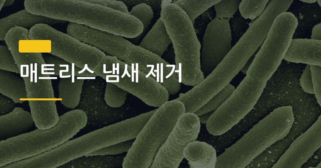 매트리스 냄새 제거, 햇볕 없이도 집에서 바로 되는 5가지 방법