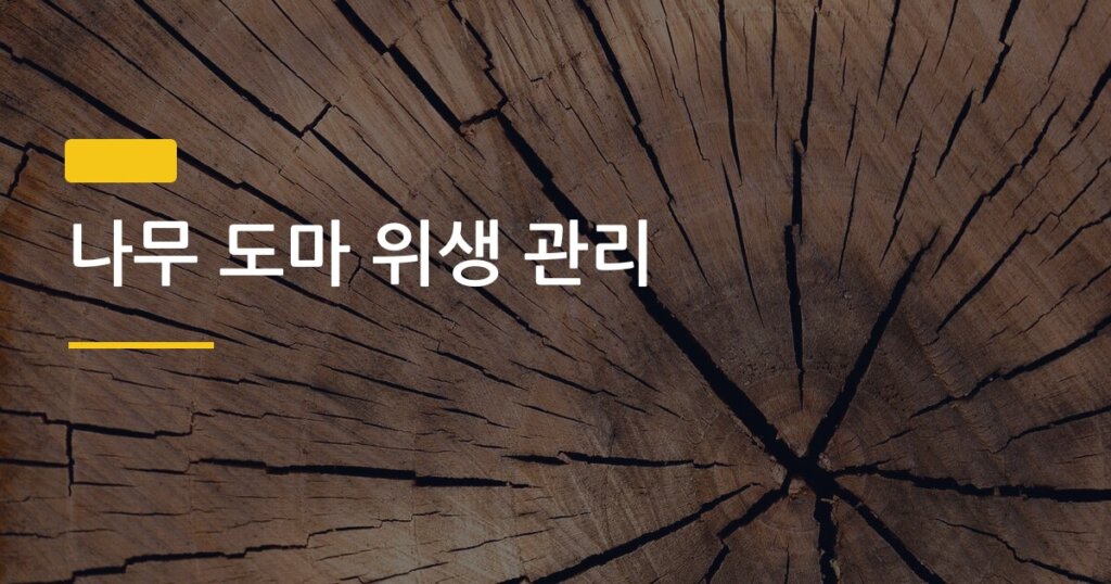 나무 도마 위생 관리, 세척 후 건조까지 잘못 알고 있으면 식중독 부른다