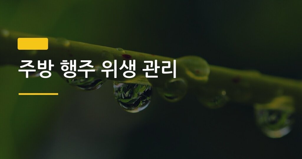 주방 행주 위생 관리, 삶지 않고도 세균 99% 잡는 5가지 방법